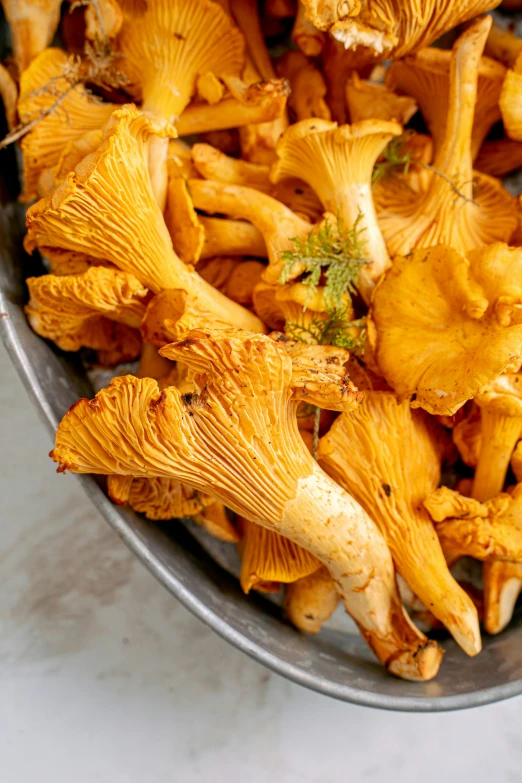 a bucket filled with lots of yellow mushrooms, fan favorite, organics, vibrant orange, epicurious