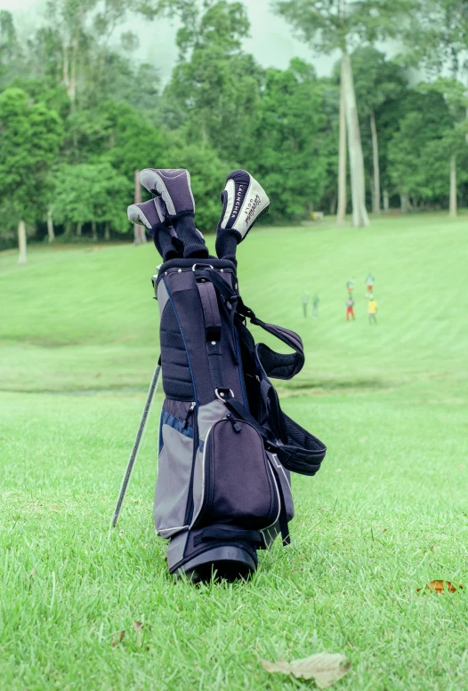 a golf bag sitting on top of a lush green field