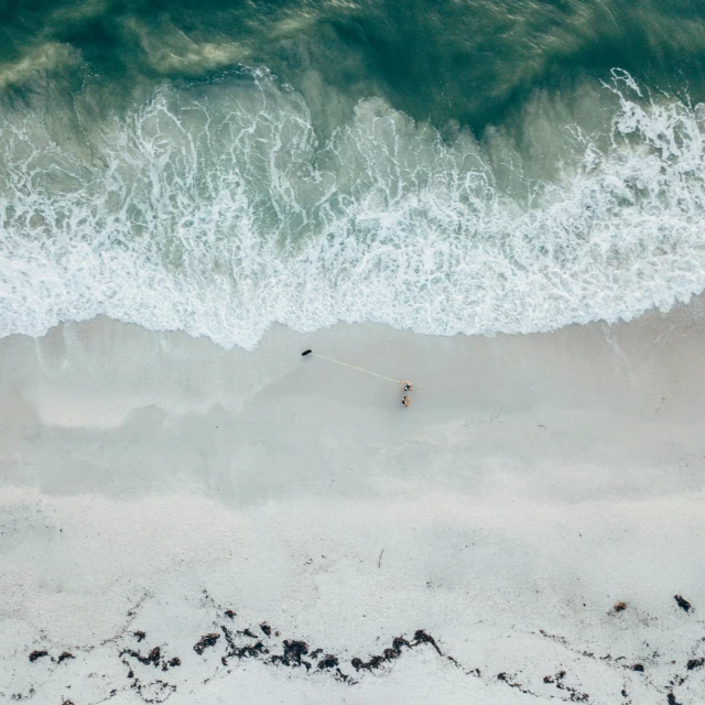 a group of people riding surfboards on top of a sandy beach, by Daniel Seghers, pexels contest winner, minimalism, bird's eye, sea foam, two people, south african coast