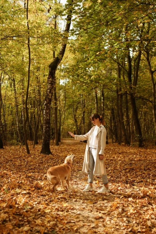 a woman standing in the woods with a dog, pexels contest winner, visual art, waving, autumn tranquility, a wooden, playing