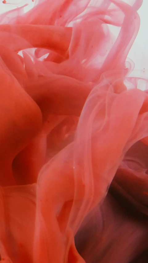 a piece of chocolate sitting on top of a table, a picture, inspired by Lynda Benglis, pexels, plasticien, coral red, made of cotton candy, dynamic closeup, with red haze