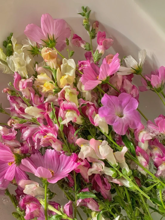 a white bowl filled with pink and white flowers, medium closeup, multicoloured, cosmos, detail shot