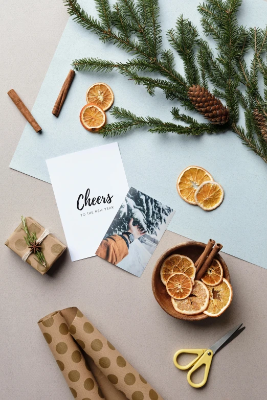 a bunch of oranges sitting on top of a table, a picture, pexels contest winner, happening, card, evergreen branches, cheers, behance lemanoosh