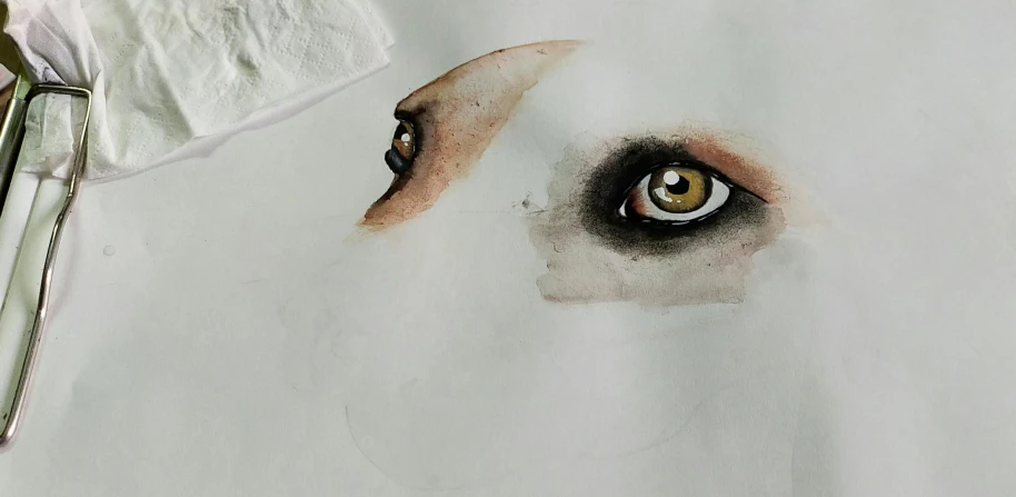 a pair of scissors sitting on top of a piece of paper, a watercolor painting, inspired by Federico Barocci, trending on deviantart, process art, ivory make up on the eyes, with amber eyes, white muzzle and underside, movie scene close up