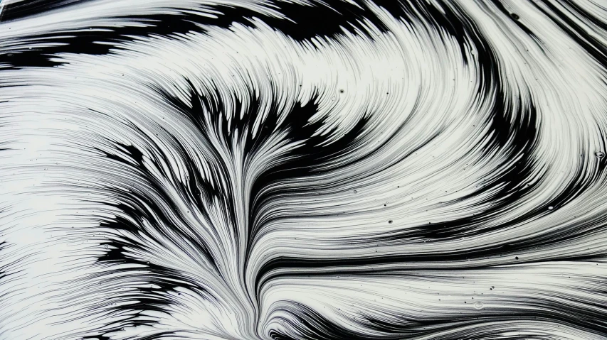 a close up of a black and white painting, unsplash, generative art, rippling liquid, vivid lines, feathered, wikimedia commons