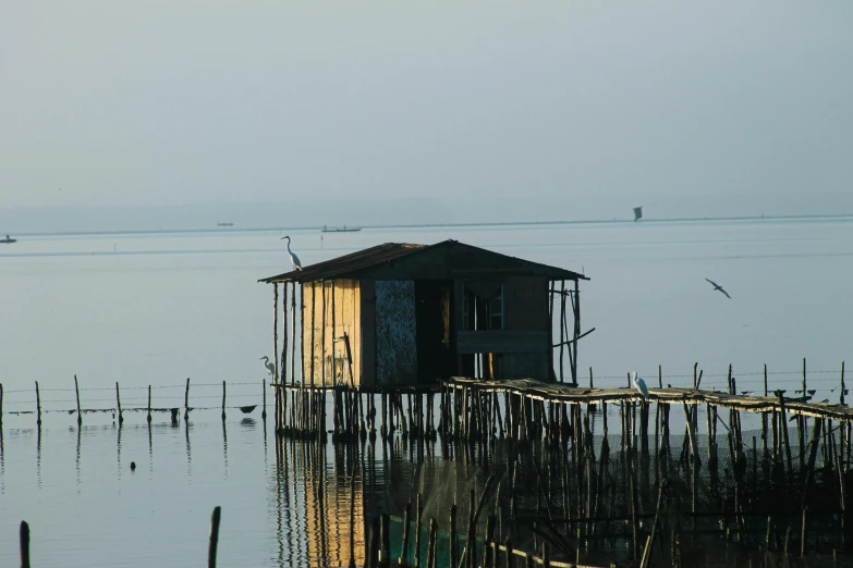 a small shack in the middle of a body of water, pexels contest winner, renaissance, the infrastructure of humanity, album cover, late afternoon, sparsely populated