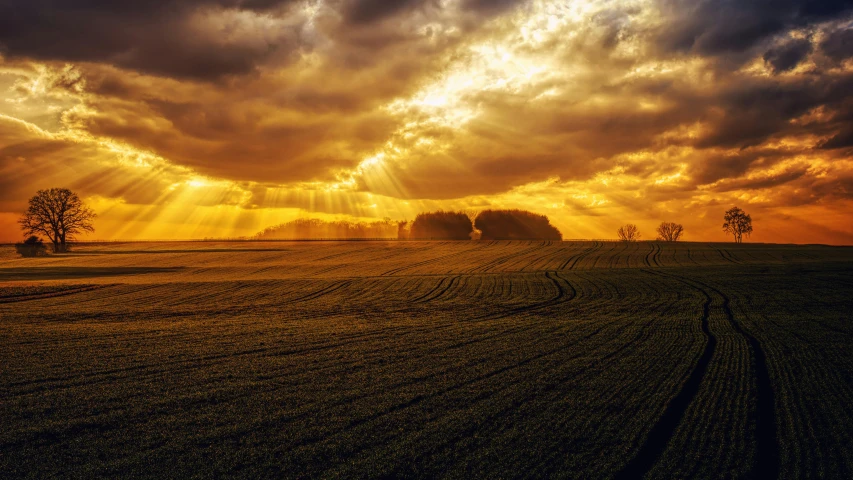 the sun shines through the clouds over a field, pexels contest winner, renaissance, warm glow coming the ground, farmland, rays of god, uploaded