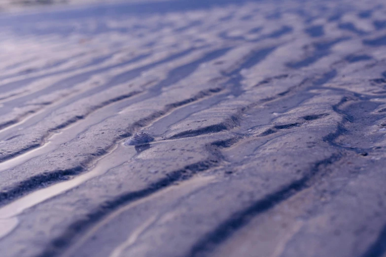 a close up of a wet surface on a beach, inspired by Arthur Burdett Frost, unsplash, land art, photorealistic octane render 8 k, purple, snow dunes, low-angle shot