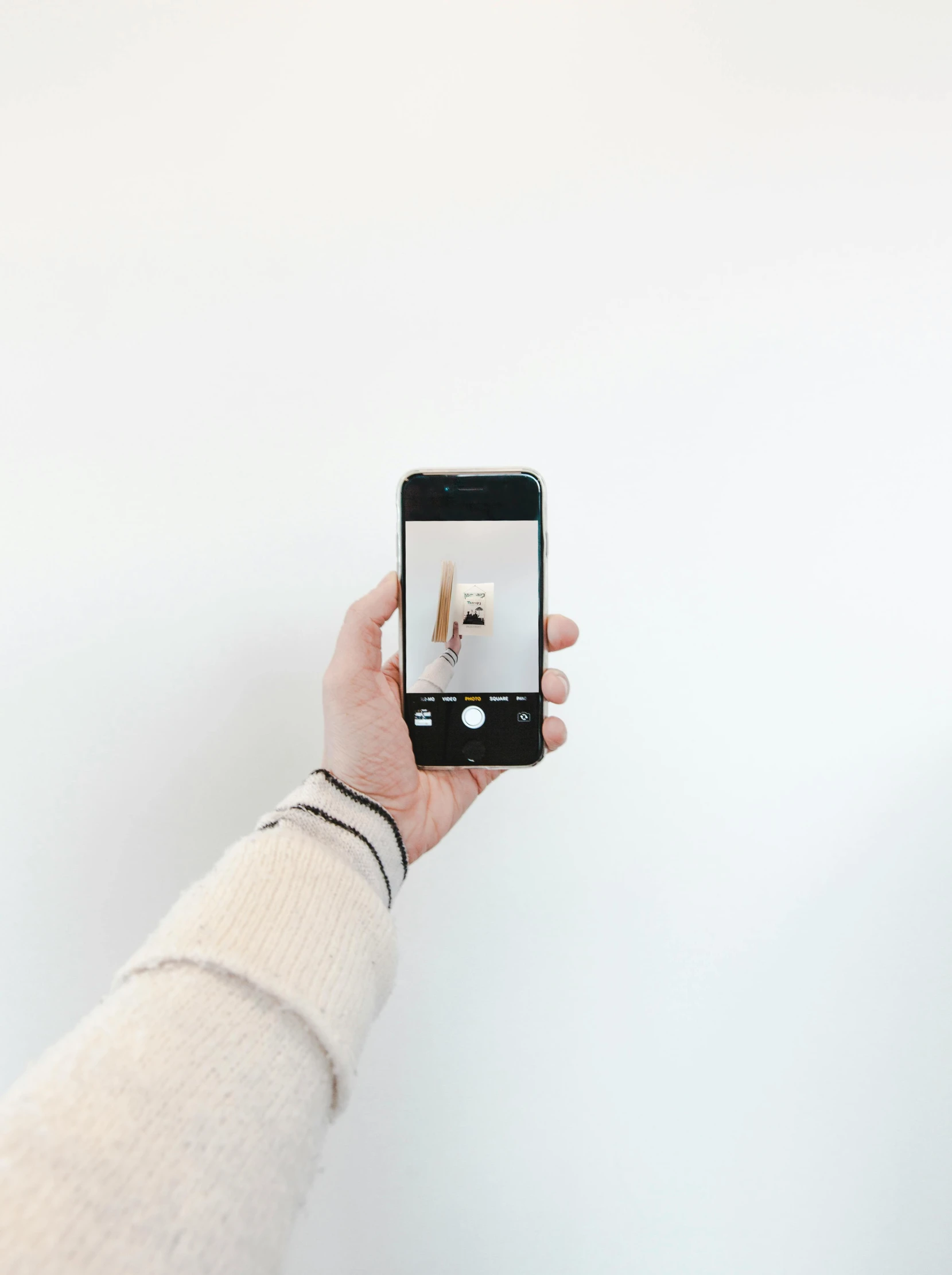 a person taking a picture of a dog on a cell phone, by Gavin Hamilton, trending on unsplash, minimalism, white backdrop, perfect symmetrical image, a woman holding an orb, rectangle