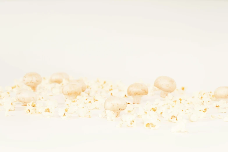 a pile of popcorn sitting on top of a white table, an album cover, pexels, visual art, background image, made of mushrooms, hd footage, pastel'