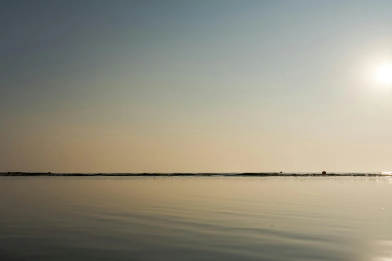 a person riding a surfboard on top of a body of water, by Eglon van der Neer, unsplash, minimalism, marshes, early evening, calm sea, large scale photo