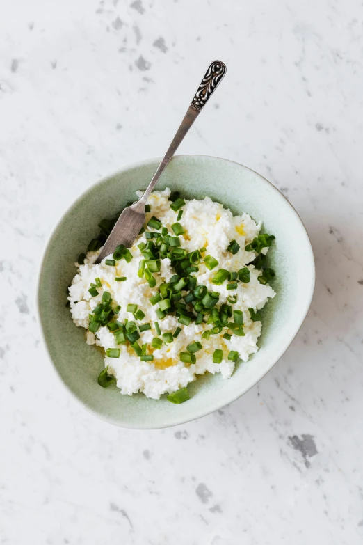 a bowl filled with mashed potatoes and green onions, inspired by Nishida Shun'ei, reddit, on grey background, mozzarella, jen atkin, summer light