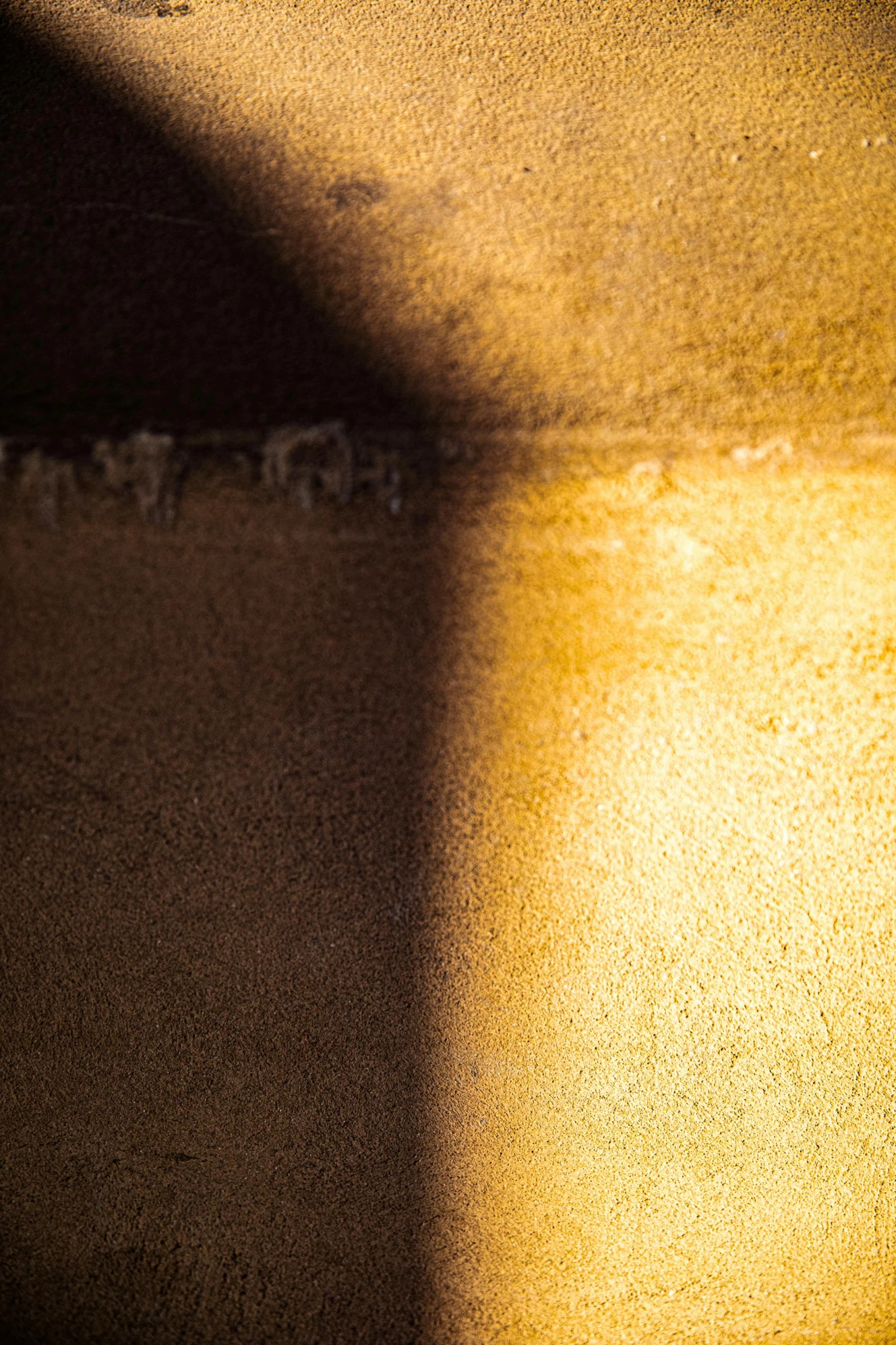 a bird is sitting on the ledge of a building, inspired by Elsa Bleda, trending on unsplash, light and space, abstract detail, new mexico with a yellow filter, archival pigment print, inside a tomb