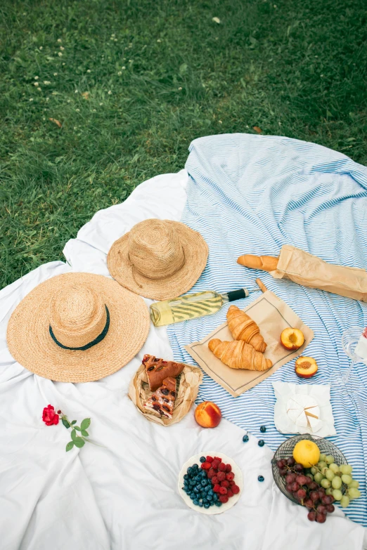 a blue and white blanket sitting on top of a lush green field, fruit, straw hat, bags on ground, san francisco