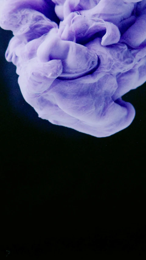 a close up of a purple substance in water, by Dave Allsop, conceptual art, fetus, colossal fluffy tardigrade, photographed on colour film, ap news photo