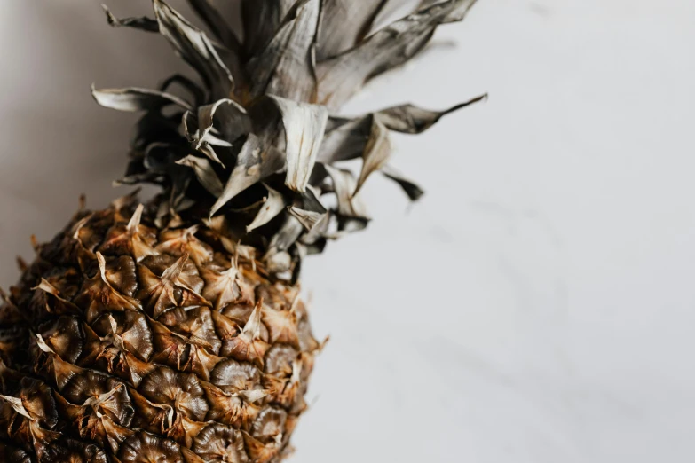 a close up of a pineapple on a table, by Carey Morris, trending on pexels, gray mottled skin, background image, jovana rikalo, 🦩🪐🐞👩🏻🦳