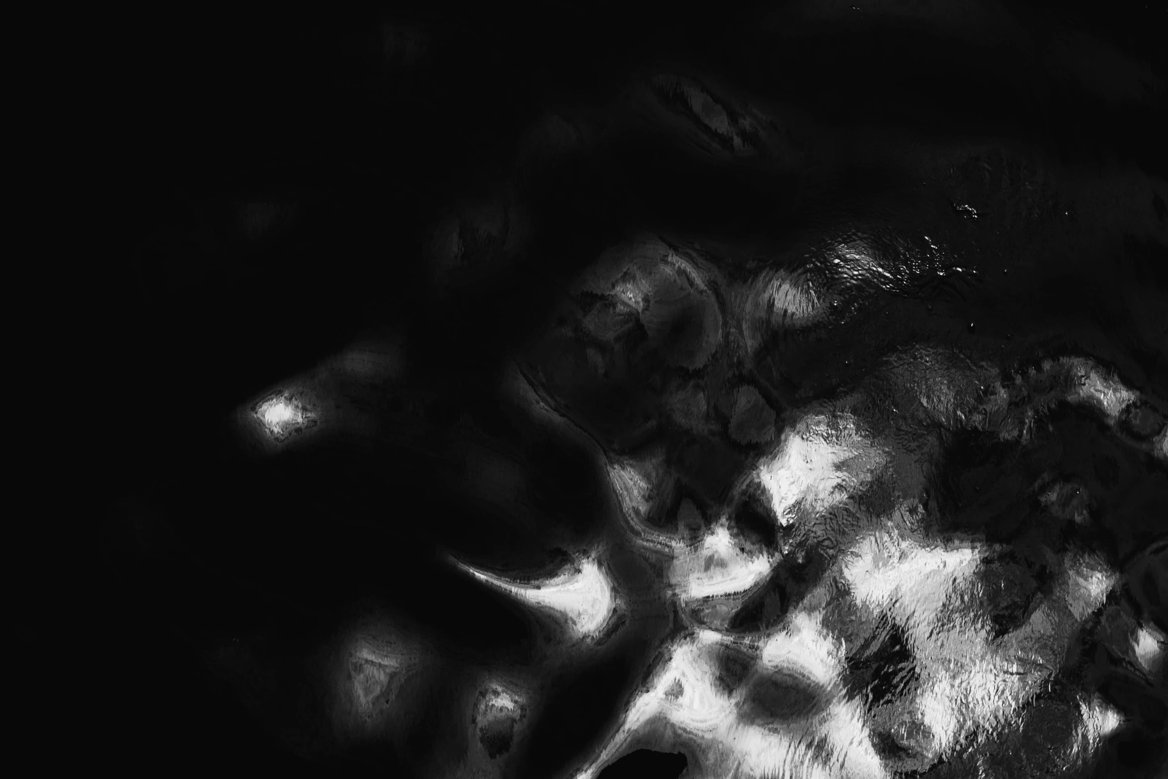 a black and white photo of a giraffe, an album cover, inspired by Anna Füssli, reddit, conceptual art, swirly liquid fluid abstract art, background image, abstract black leather, night