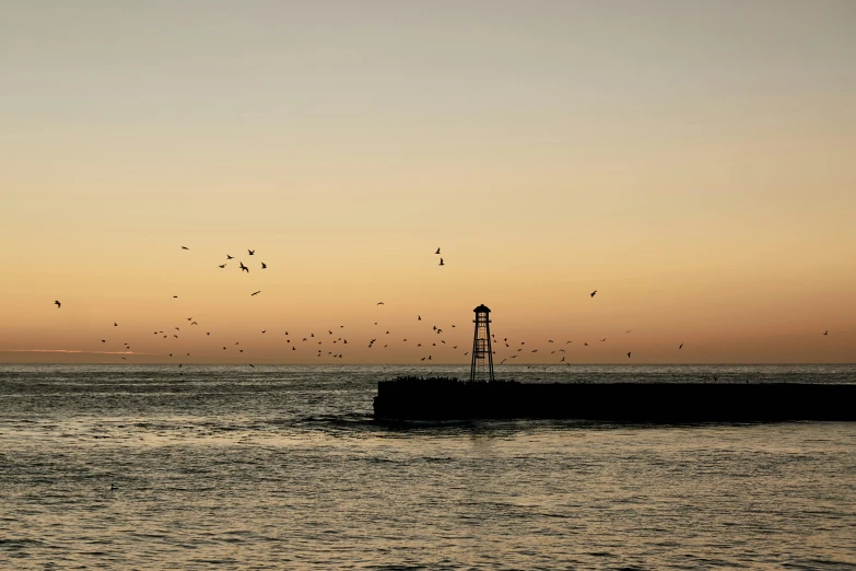 a flock of birds flying over a body of water, by Peter Churcher, pexels contest winner, romanticism, light house, medium format. soft light, peaceful evening harbor, brown