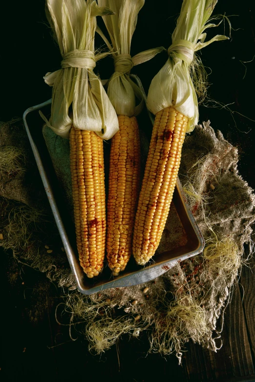three ears of corn on a tray on a table, renaissance, woodfired, 6 pack, portrait of tall, f / 2 0