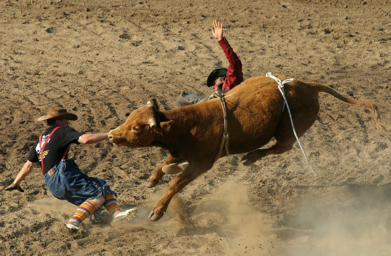 a man riding on the back of a brown bull, pexels contest winner, kicking up dirt, high - angle, cornell, albuquerque