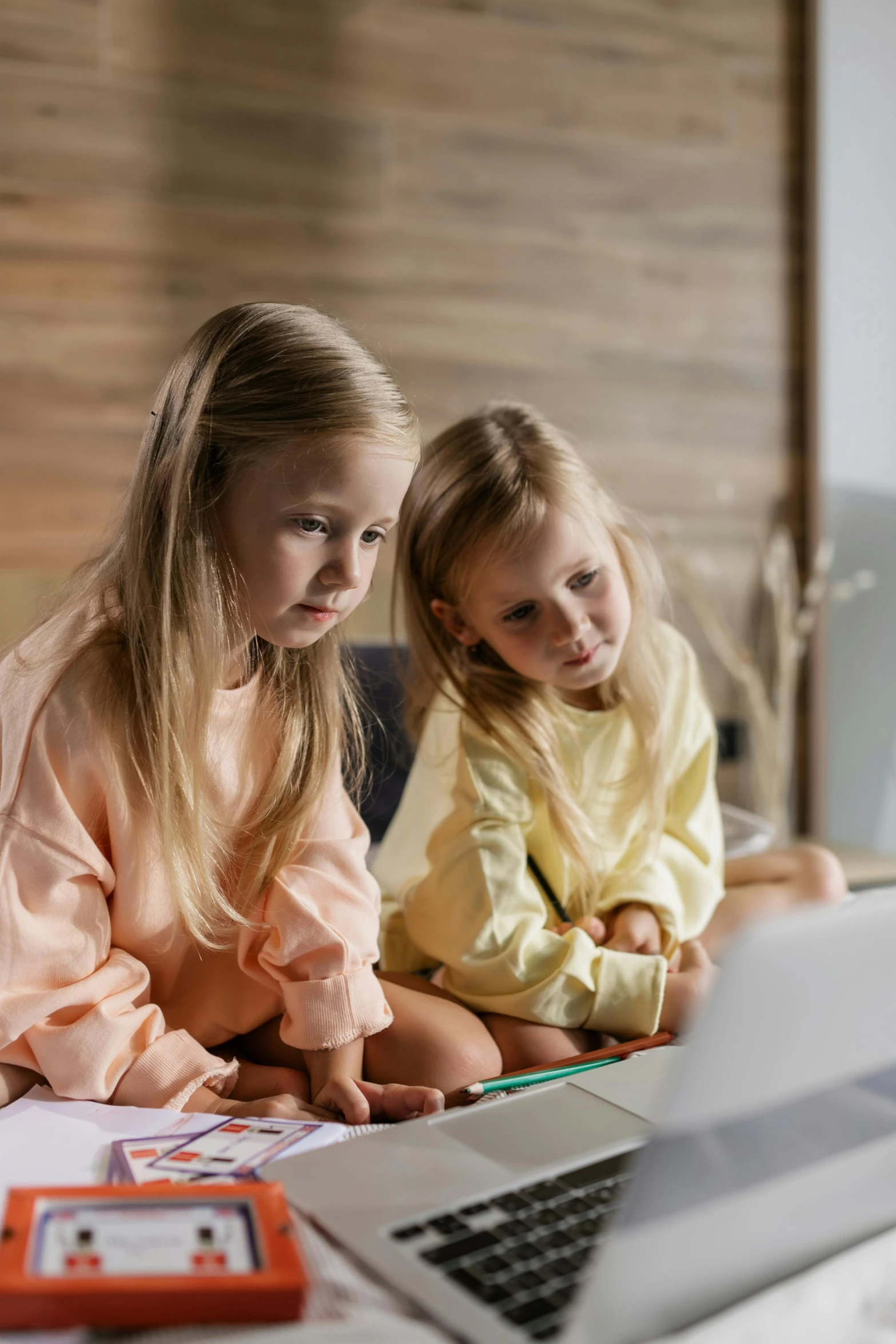 two little girls sitting in front of a laptop computer, pexels contest winner, yellow robes, a blond, programming, slide show