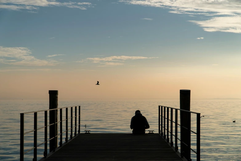 a person sitting on a dock looking out at the ocean, by Eglon van der Neer, pexels contest winner, birds in the distance, late afternoon, a photo of a man, comforting