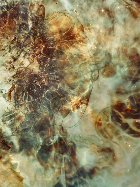 a close up of a star filled sky, a microscopic photo, inspired by Anna Füssli, generative art, roots underwater, brownish fossil, ignant, liquid translucent amber