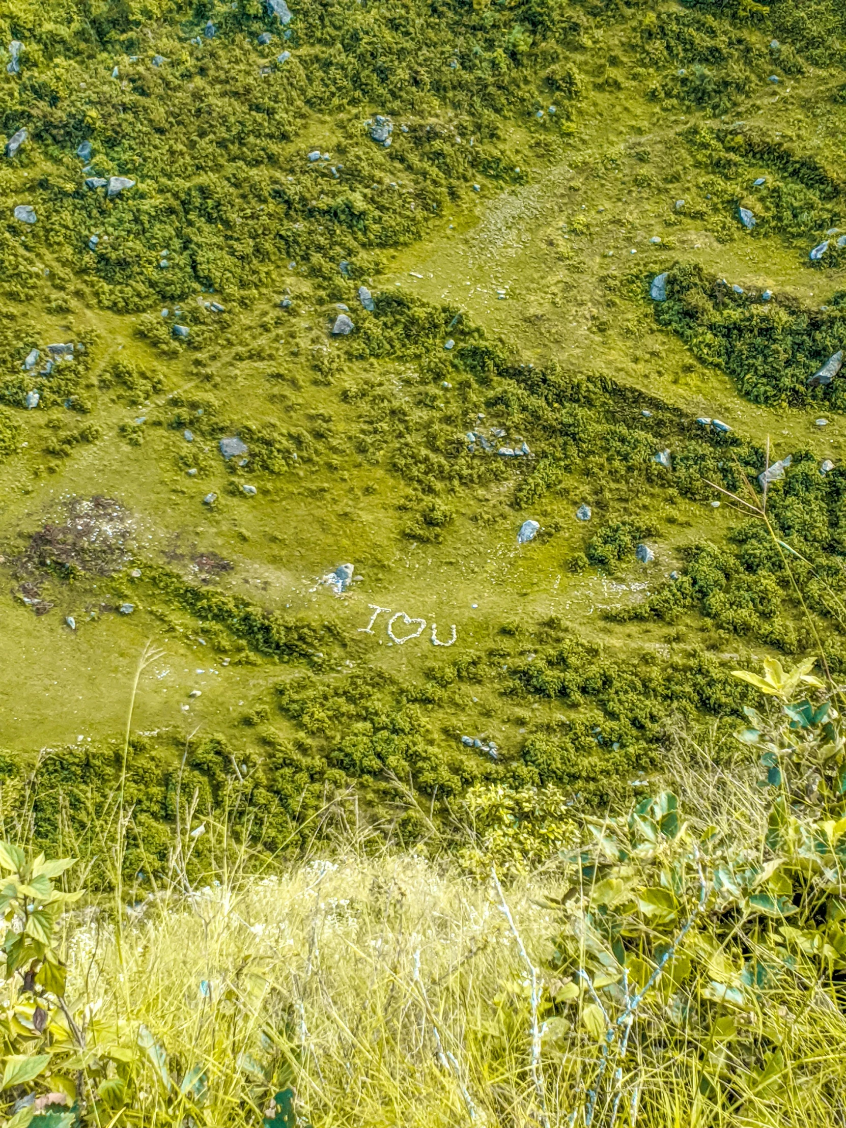 a man standing on top of a lush green hillside, by Muggur, land art, hidden message, zoomed in, i see you, covered in runes