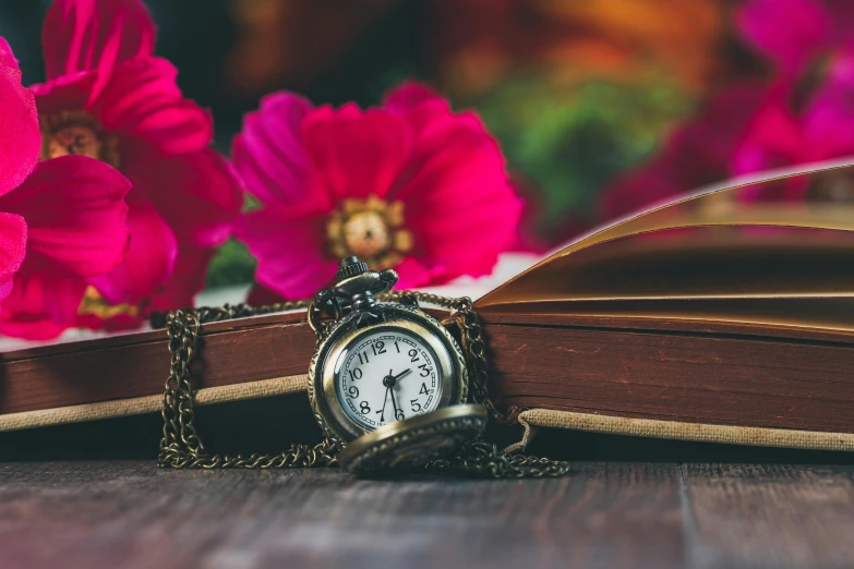 a pocket watch sitting on top of an open book, an album cover, by Julia Pishtar, pexels contest winner, romanticism, flowers around, avatar image, vacation photo, thumbnail