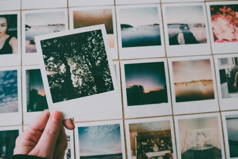 a person holding a polaroid picture in front of a wall of photos, inspired by Elsa Bleda, trending on pexels, square pictureframes, pastel faded effect, nature photograph, photo mosaic