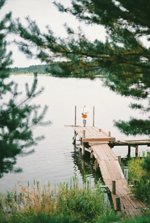 a wooden dock next to a body of water, by Grytė Pintukaitė, family friendly, lo-fi, single pine, fisherman