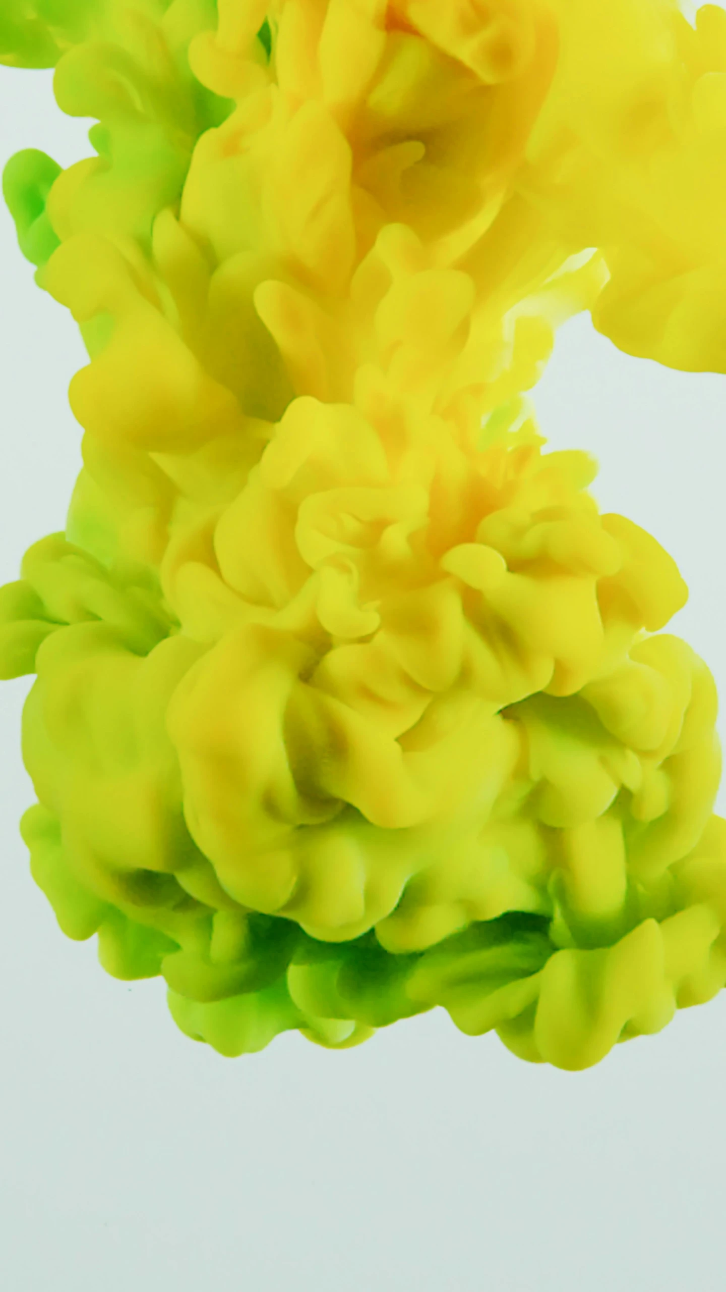 a close up of a yellow substance in water, an abstract sculpture, inspired by Lynda Benglis, unsplash, octane render - n 6, lettuce, turbid clouds, a full-color airbrushed