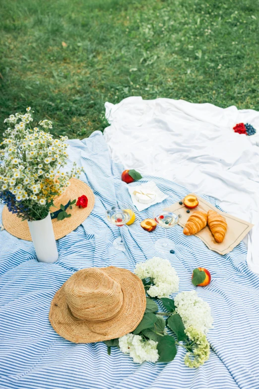 a blue and white blanket sitting on top of a grass covered field, a still life, pexels contest winner, made of flowers and fruit, white straw flat brimmed hat, people on a picnic, white background