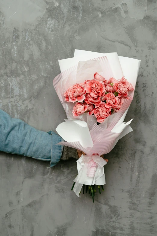 a person holding a bunch of pink flowers, on a gray background, ((pink)), carnation, classic vibes