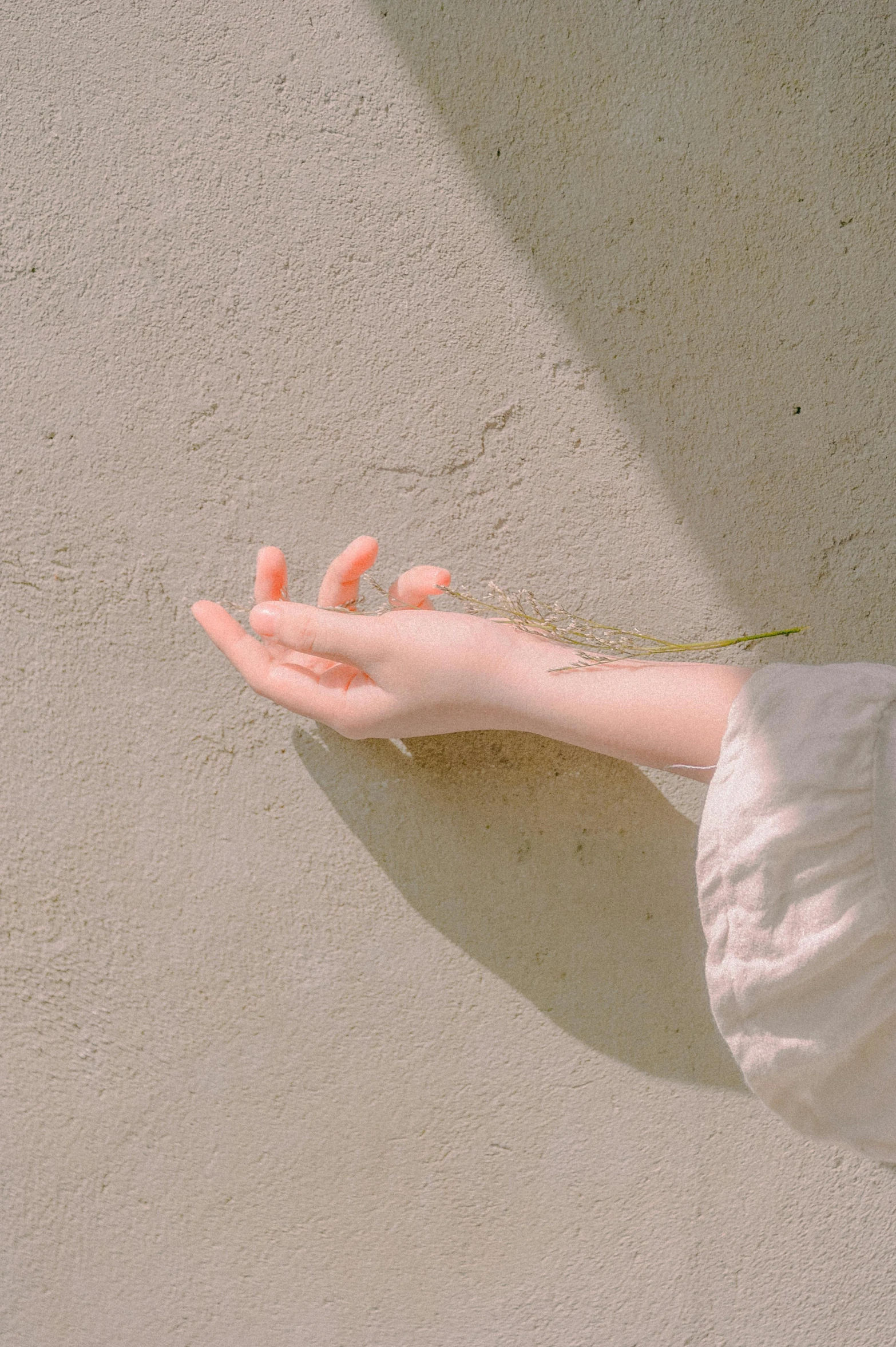 a close up of a person's hand near a wall, aestheticism, ulzzang, ignant, slight bloom, graceful arms