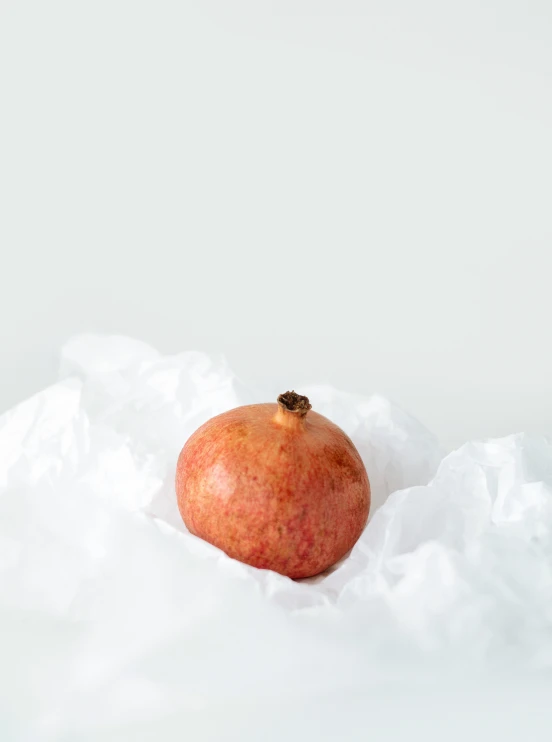 a red apple sitting on top of a white sheet, obsidian pomegranade, full product shot, porcelain organic tissue, orange fluffy belly