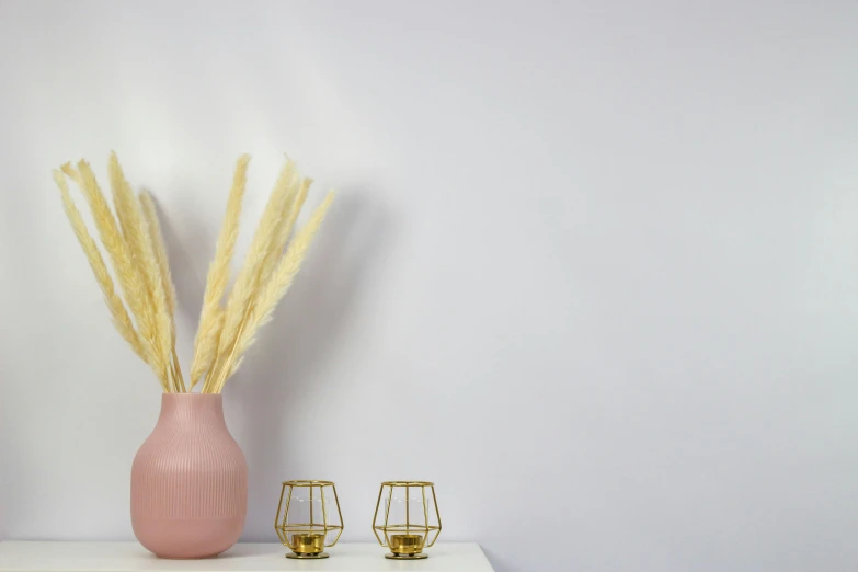 a pink vase sitting on top of a white table, trending on pexels, reeds, background image, golden curve composition, torches on wall