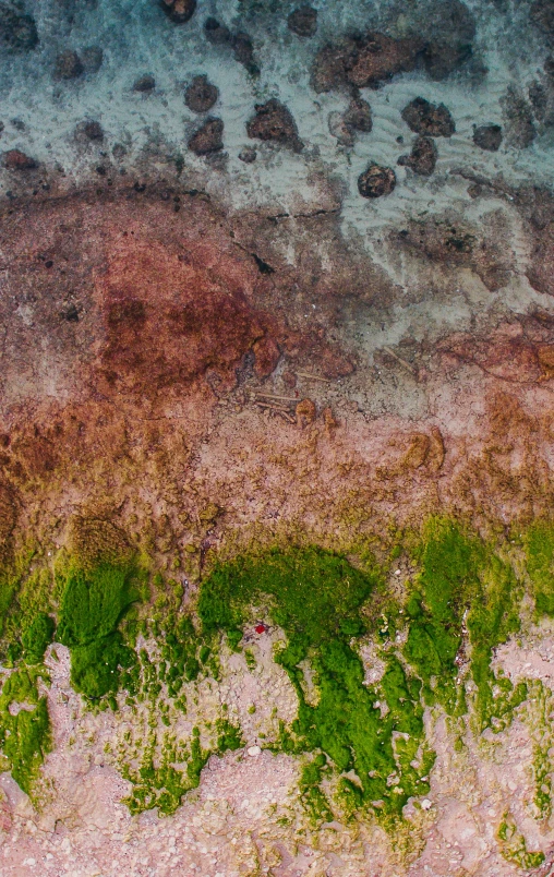 a person riding a surfboard on top of a sandy beach, an ultrafine detailed painting, trending on pexels, color field, moss and mud, drone photograph, red green, panoramic shot