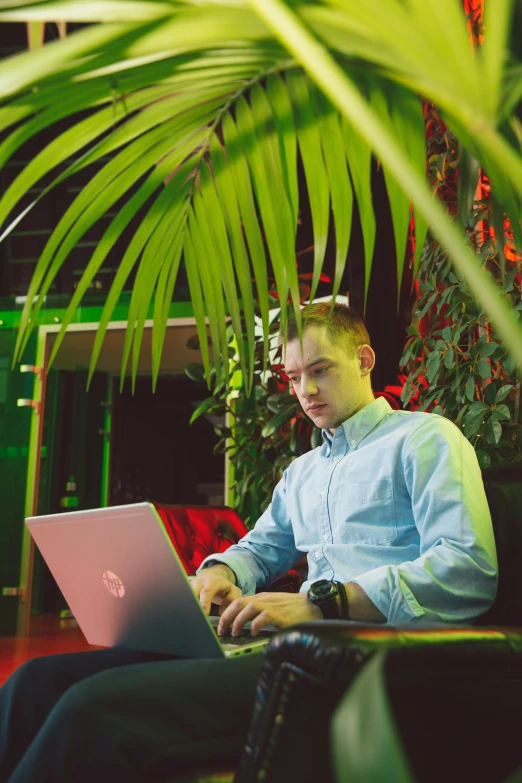 a man sitting on a bench using a laptop computer, a portrait, by Julia Pishtar, unsplash, lush environment, vitalik buterin, low lighting, multicoloured