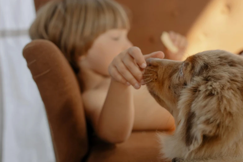 a little boy sitting in a chair petting a dog, pexels contest winner, animation, brown, soft shade, cat and dog licking each other