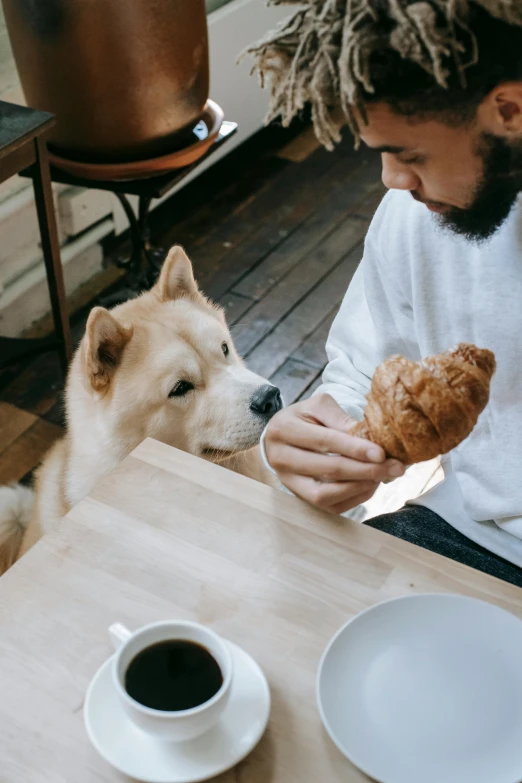 a man sitting at a table with a dog and a croissant, trending on unsplash, shibu inu, white, brown, ignant