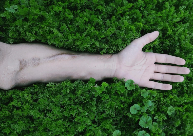 a person laying on top of a lush green field, inspired by Ren Hang, land art, realistic hands, nothofagus, gardening, ignant