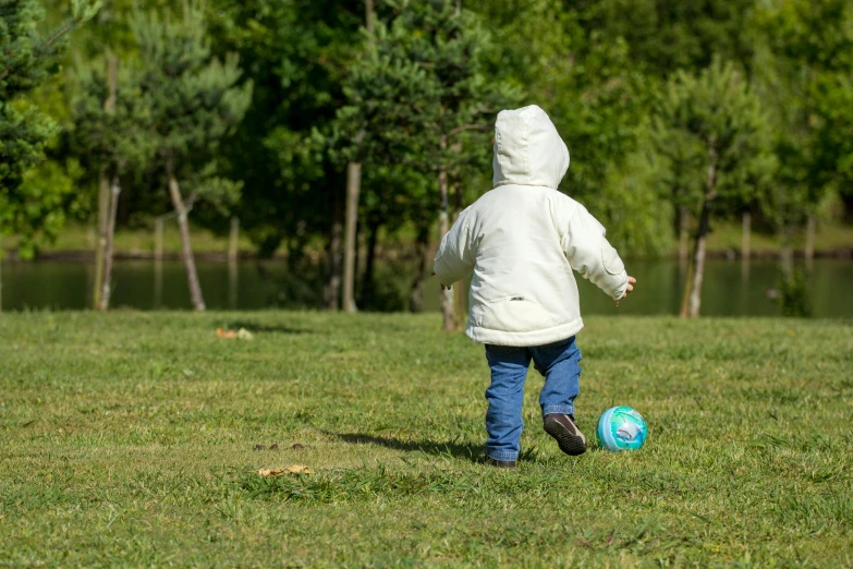 a little boy that is standing in the grass with a frisbee, by Eglon van der Neer, pixabay, in a hoodie, holding a ball, walking away, parks and lakes