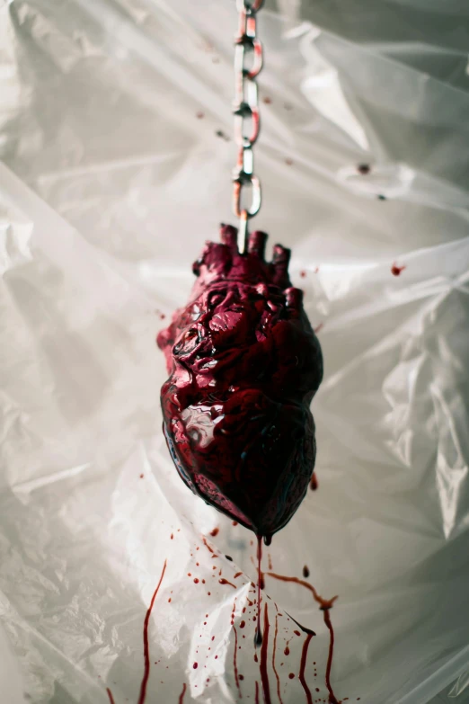 a bleeding heart hanging from a chain, unsplash, vanitas, made of lab tissue, covered in organic flesh meat, maroon, intense emotion