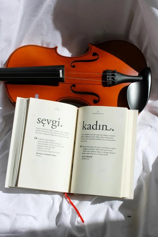 an open book sitting on top of a bed next to a violin, inspired by Nadim Karam, reddit, kurdistan, with names, istván sándorfi, to