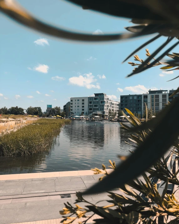 a body of water with buildings in the background, by Washington Allston, unsplash, hurufiyya, palm trees in the background, bushes in the background, low quality photo, canal