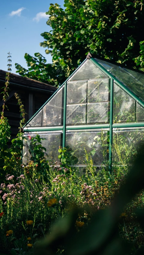 a green house sitting on top of a lush green field, by Rachel Reckitt, unsplash, in a cottagecore flower garden, transparent corrugated glass, side view close up of a gaunt, loosely cropped