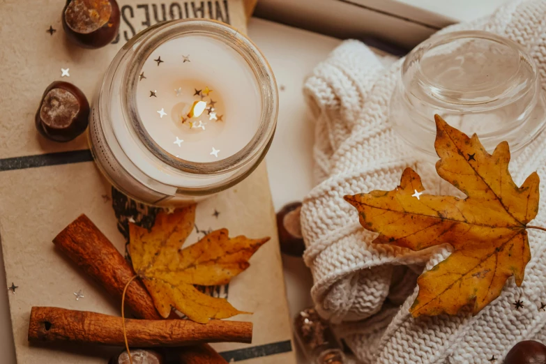 a candle sitting on top of a table next to autumn leaves, a cartoon, trending on pexels, flatlay book collection, background image, uncropped, cosy vibes