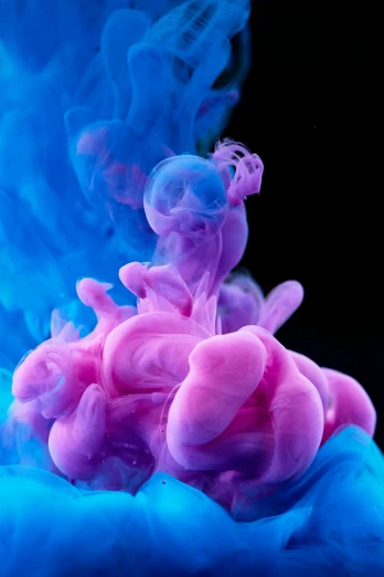 a blue and pink liquid is in the air, inspired by Kim Keever, pexels contest winner, a purple fish, abstract claymation, closeup portrait, swirly smoke