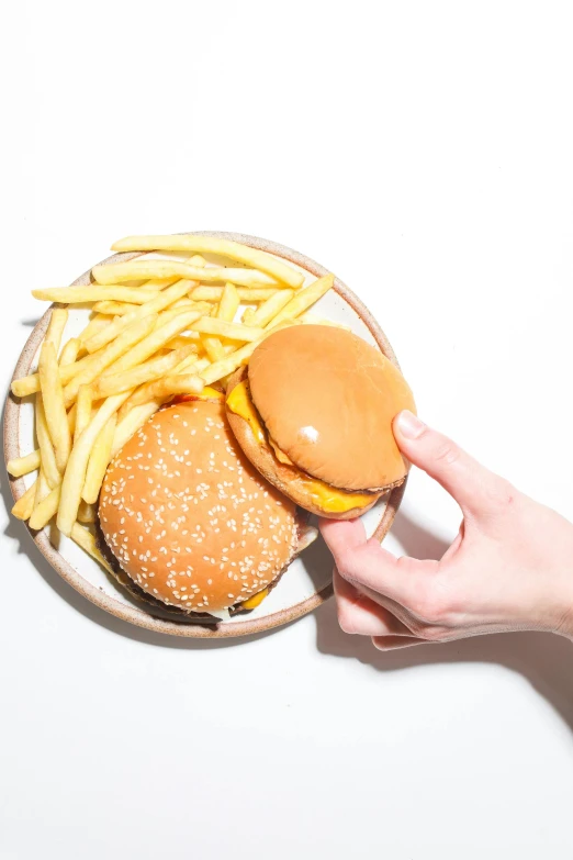 a person holding a hamburger and french fries, jen atkin, hand gesture, hasselblatt, 4l